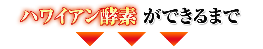 ハワイアン酵素ができるまで