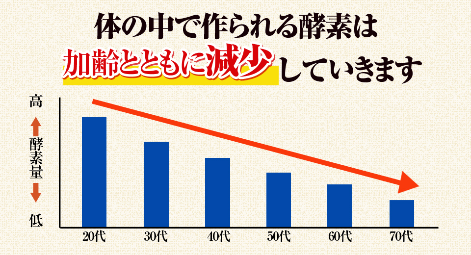 体の中で作られる酵素は加齢と共に減少していきます。