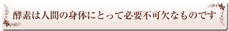 酵素は人間の体にとって必要不可欠なものです